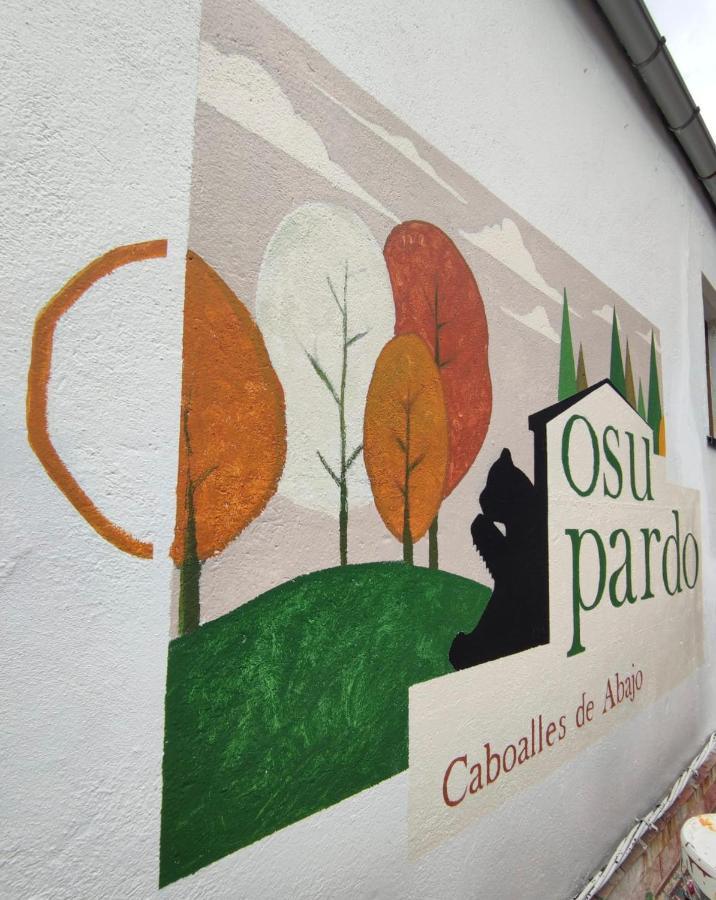 فيلا Casa Osu Pardo Vut Caboalles de Abajo المظهر الخارجي الصورة